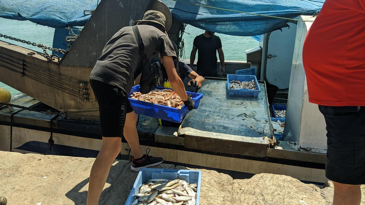 Un barco de Burriana descargando el pescado capturado en el puerto del municipio para venderlo posteriormente.