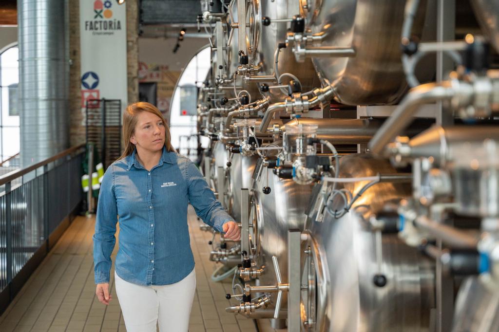 Descubre las mejores experiencias cerveceras en esta factoría sevillana.