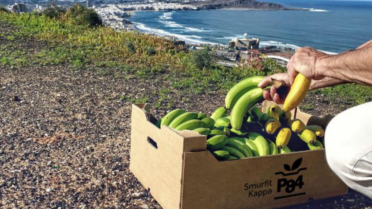 mejorando por y para canarias