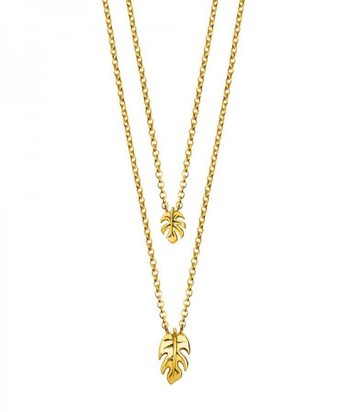 Collares de Aristocrazy