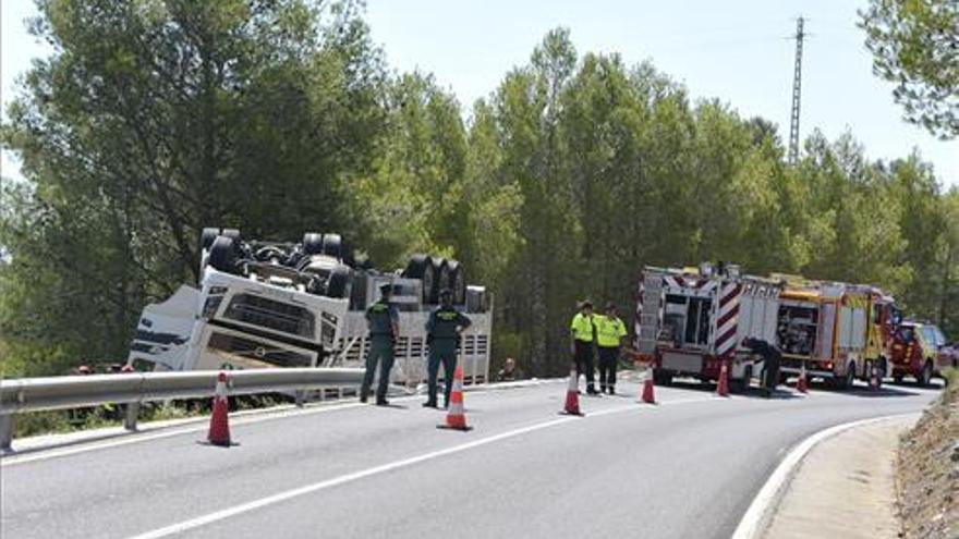 Cortan el tráfico en la CV-10 en Sant Mateu tras el accidente de un camión de cerdos