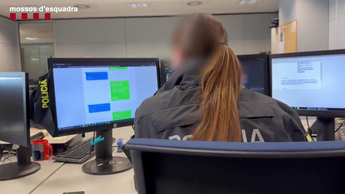 Agentes de los Mossos d'Esquadra analizan el material incautado a los pederestas.