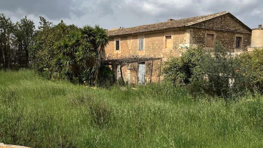 Finca mit &quot;heilender Wunderweide&quot; in Manacor auf Mallorca steht für 1,2 Millionen Euro zum Verkauf