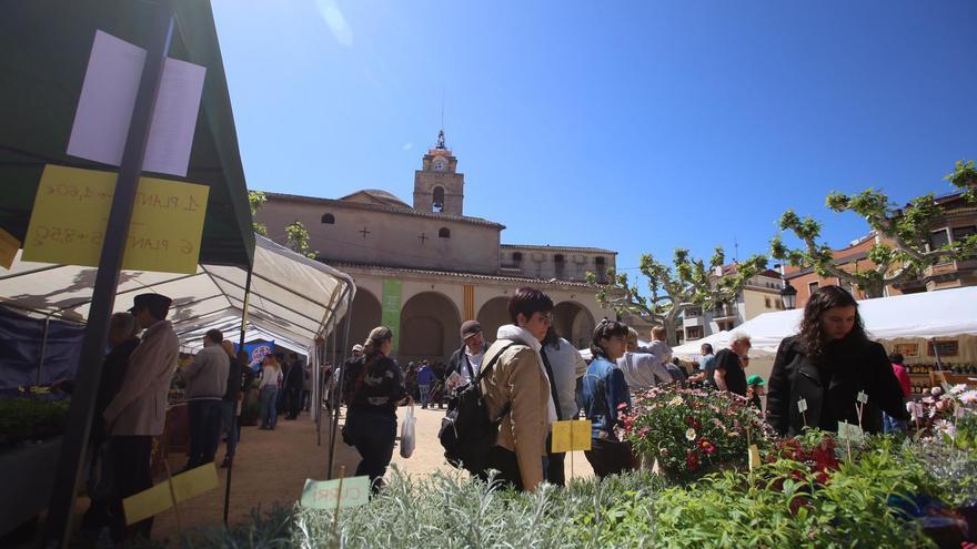 Cap de setmana de ratafia a Santa Coloma