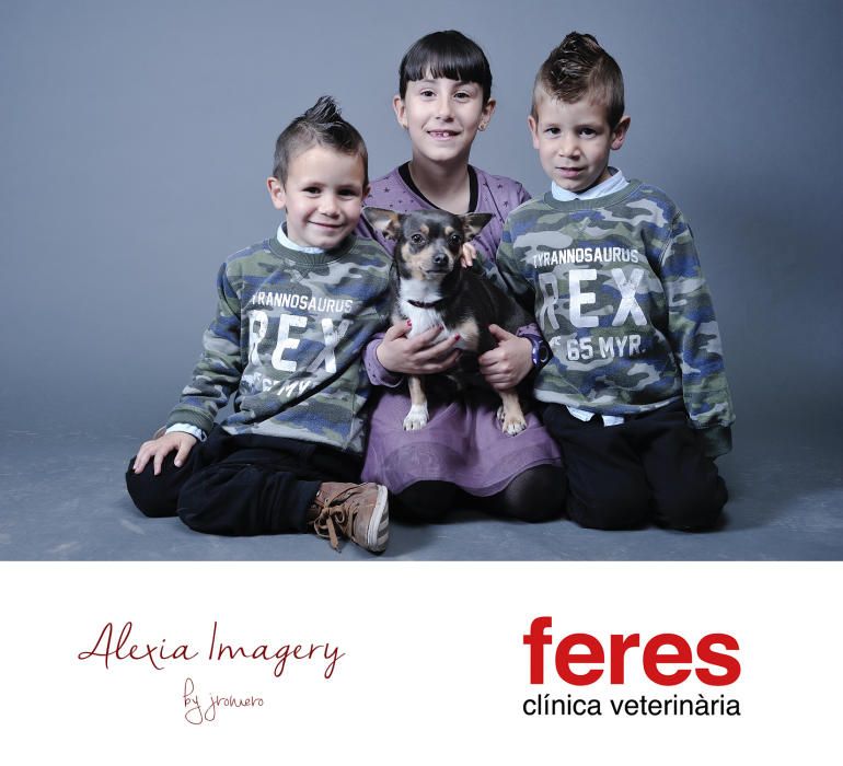 Famílies i mascotes de Feres