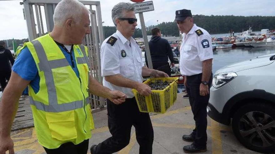 Traslado del marisco decomisado a la lonja para su pesaje. // N. Parga