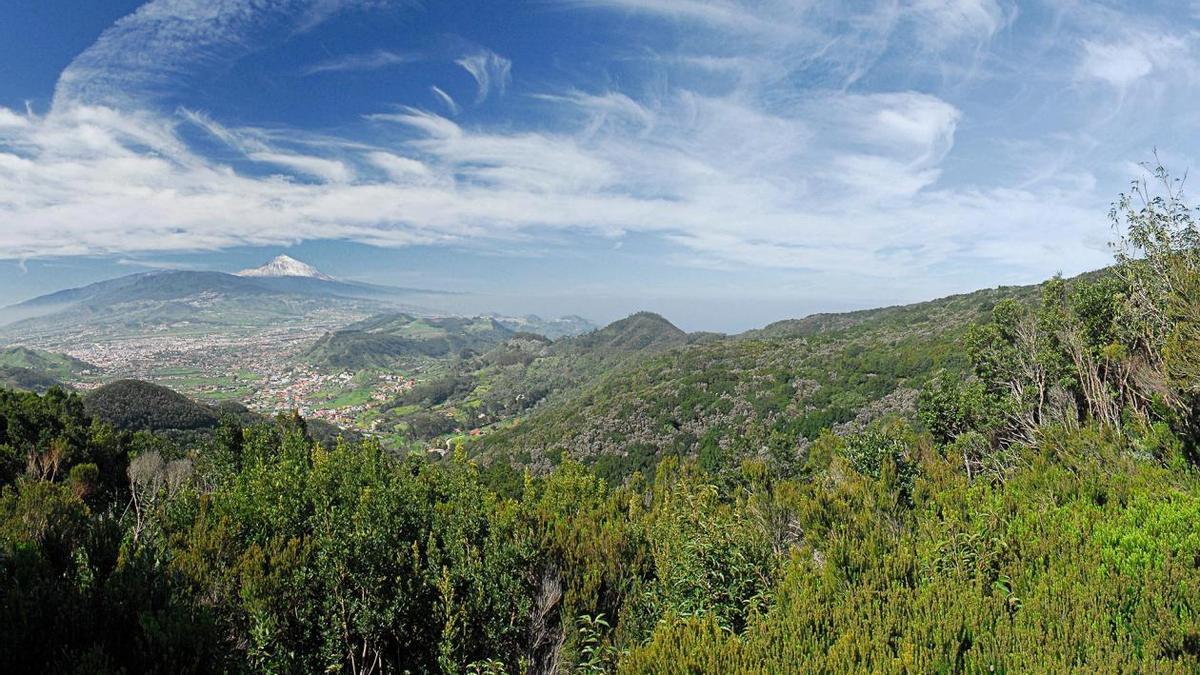 Un tramo del sendero de la Cruz del Carmen.