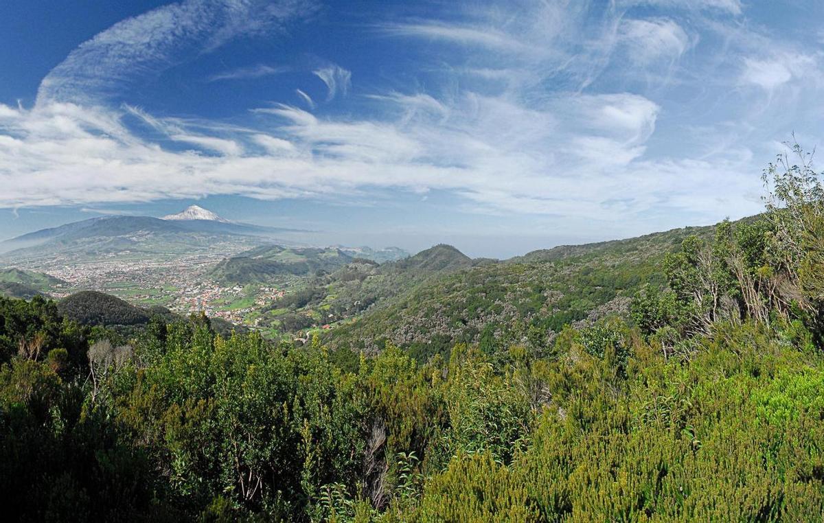 Un tramo del sendero de la Cruz del Carmen.