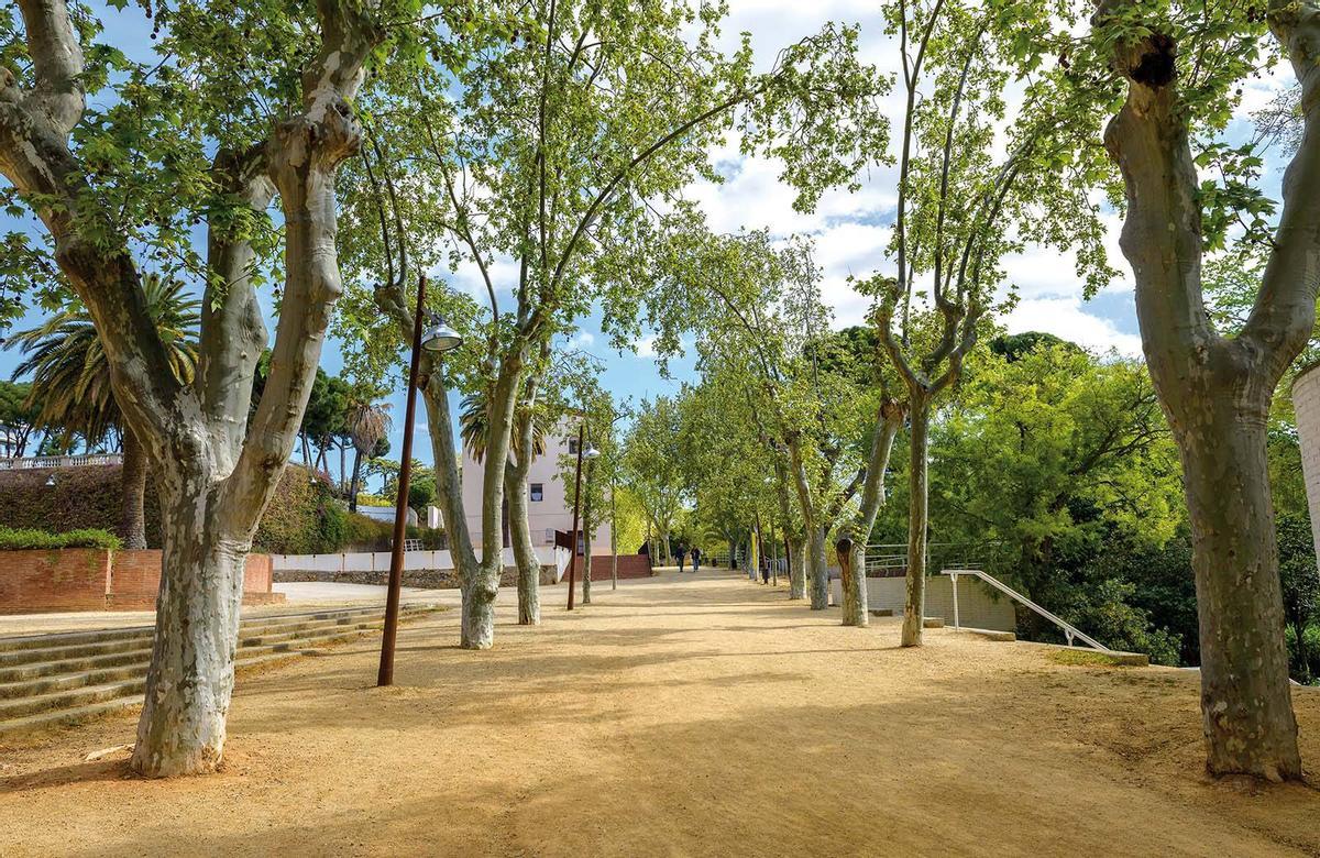 Parque de Can Solei i Ca l'Arnús de Badalona, que hasta 2024 fue el único refugio climático de la ciudad