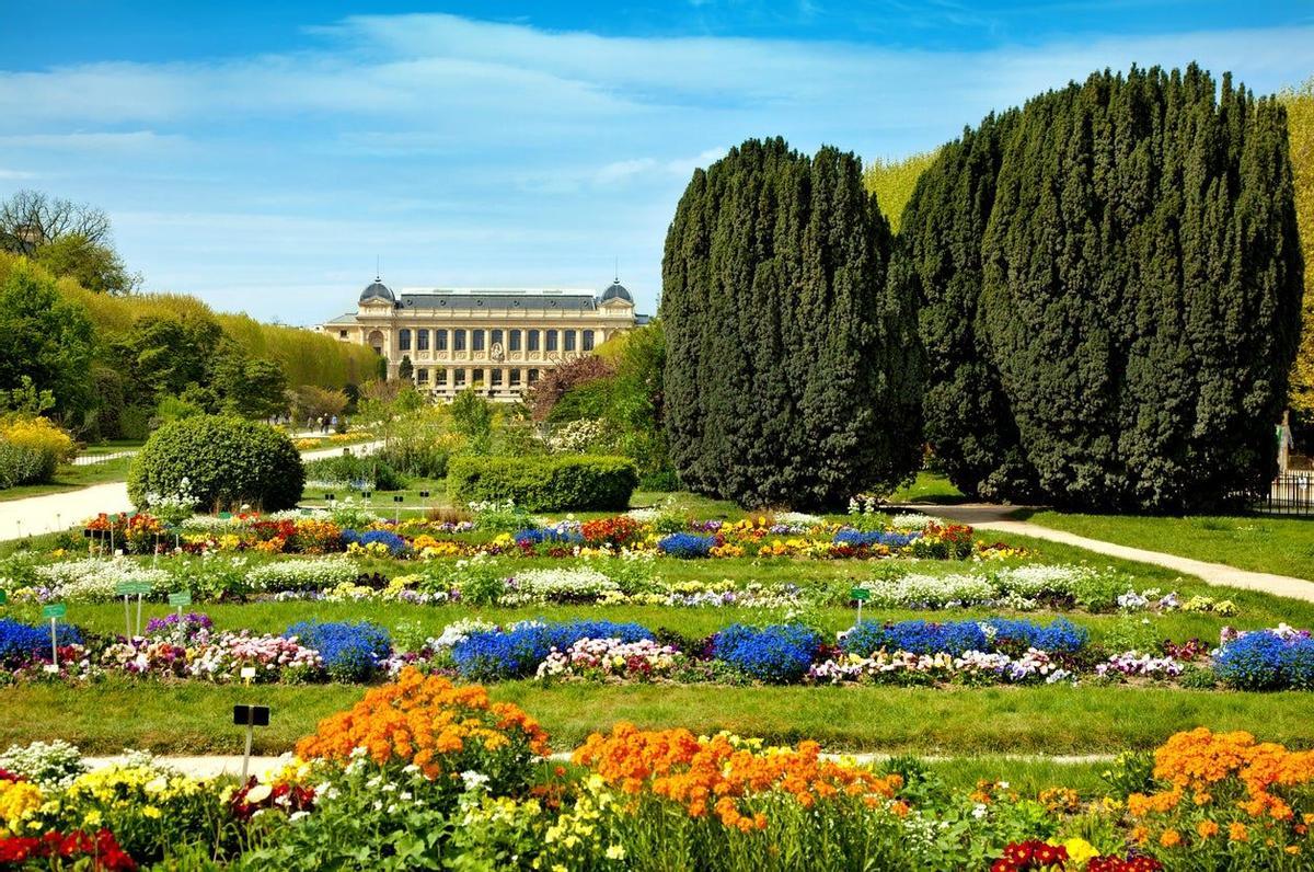 París, verde, naturaleza
