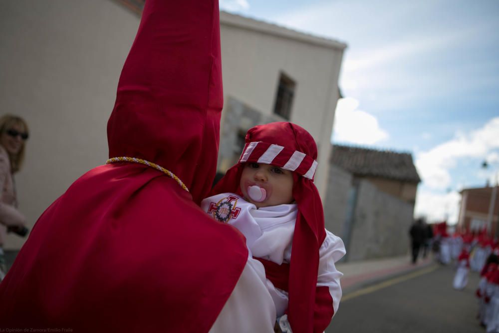 Semana Santa 2018: Procesión de palmas Villaralbo