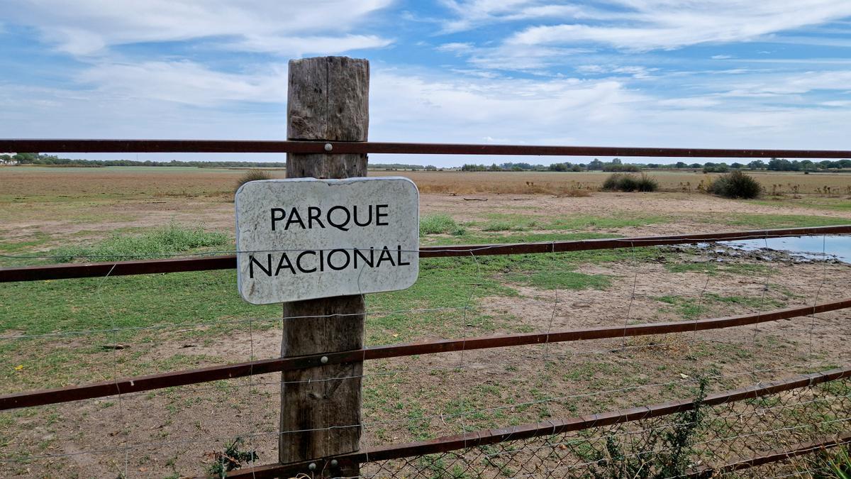 Vista del Parque Nacional de Doñana desde la localidad de Almonte (Huelva).