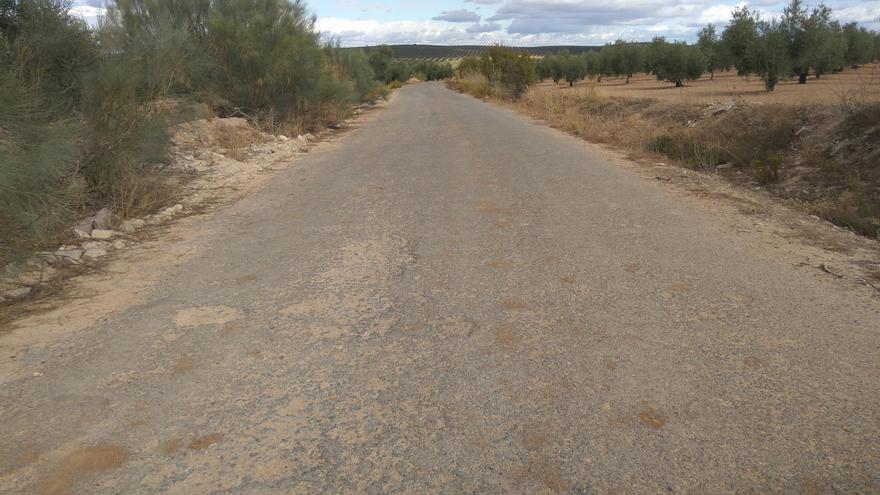 Vista del camino que comunica la pedanía antequerana de Cartaojal con el municipio de Cuevas Bajas.