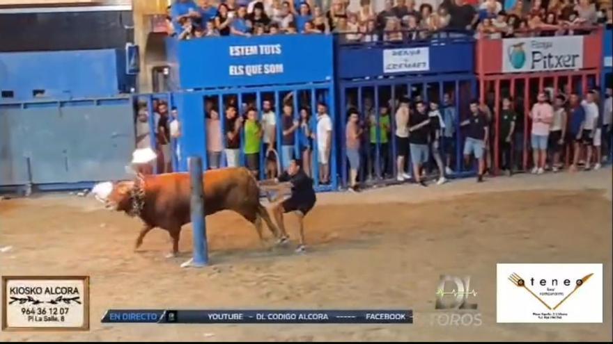 Frousse monumentale lors des « bous embolats » à l'Alcora : un rabiero glisse et le taureau se jette sur lui