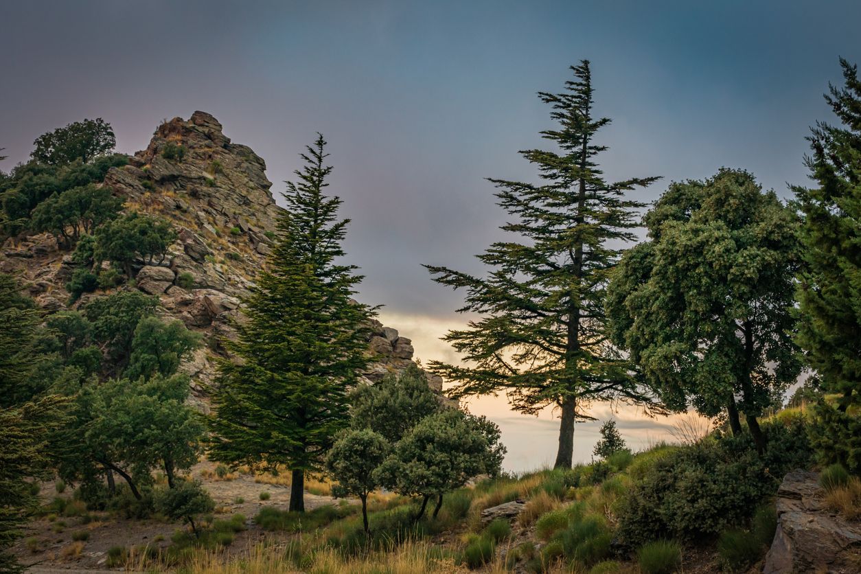 Las montañas de Pinos Genil