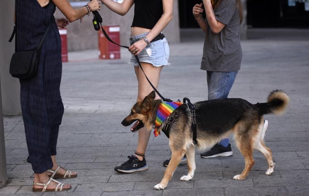 Cientos de personas se manifiestan en Murcia por un orgullo de clase y combativo