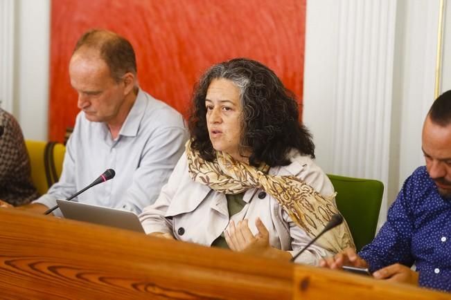 Pleno municipal del Ayuntamiento de LPGC (30/06/16)