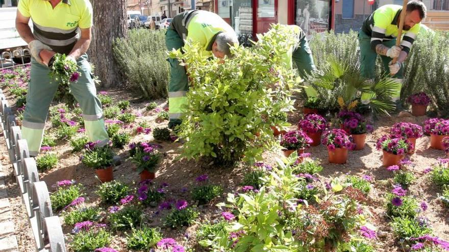 Hacienda anula el contrato municipal de Parques y Jardines