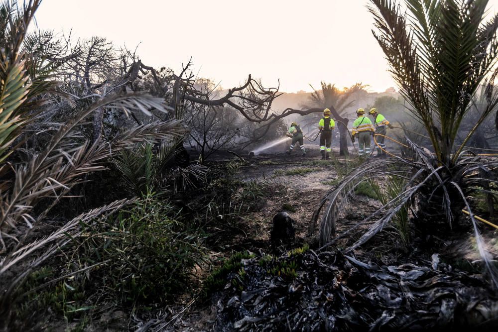 Tareas de extinción del incendio en Guardamar