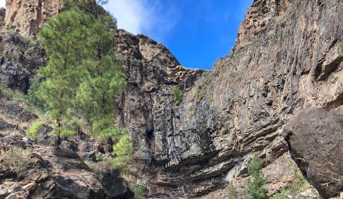 Cae una roca de grandes dimensiones en una carretera del sur de Gran Canaria.