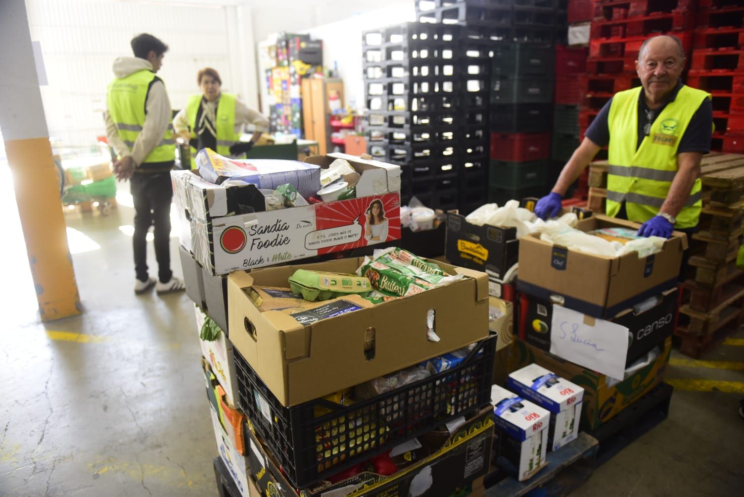 Gayoso apadrina la Gran Recogida del Banco de Alimentos, que busca 2.800 voluntarios
