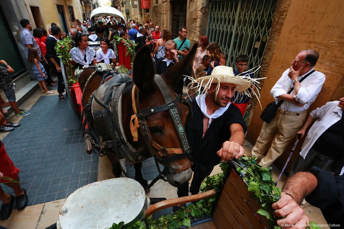 Carros, caballos y portadores del agua de Sant Magí, en la vigília del patrón de Tarragona, 18 de agosto. Carros, caballos y portadores del agua de Sant Magí, en la vigília del patrón de Tarragona, 18 de agosto.
