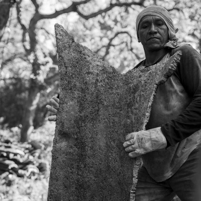 Exposición fotográfica 'Sentir el alcornocal', de Michele Curel