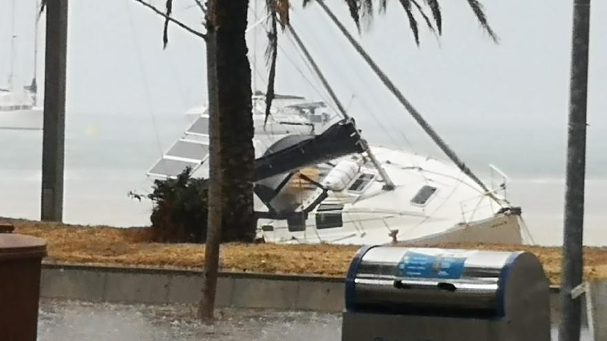 Un intens temporal causa inundacions, tomba vaixells i fa caure arbres a l&#039;Alt Empordà