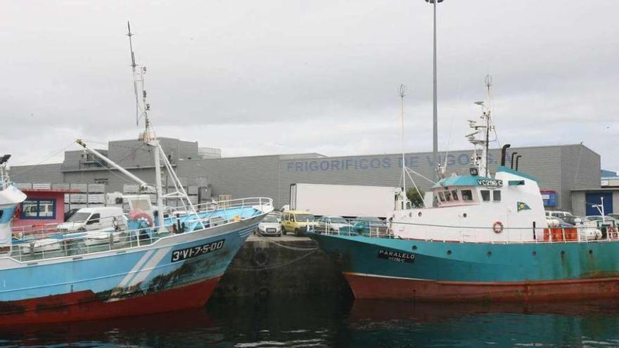 Palangreros de superficie en el puerto de Vigo.