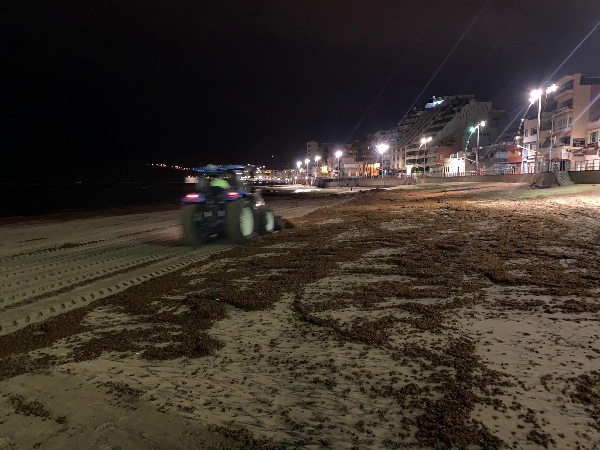 Retirada de seba en Las Canteras