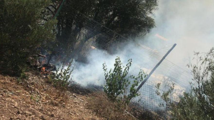 Imagen de la superficie afectada por este conato de incendio.