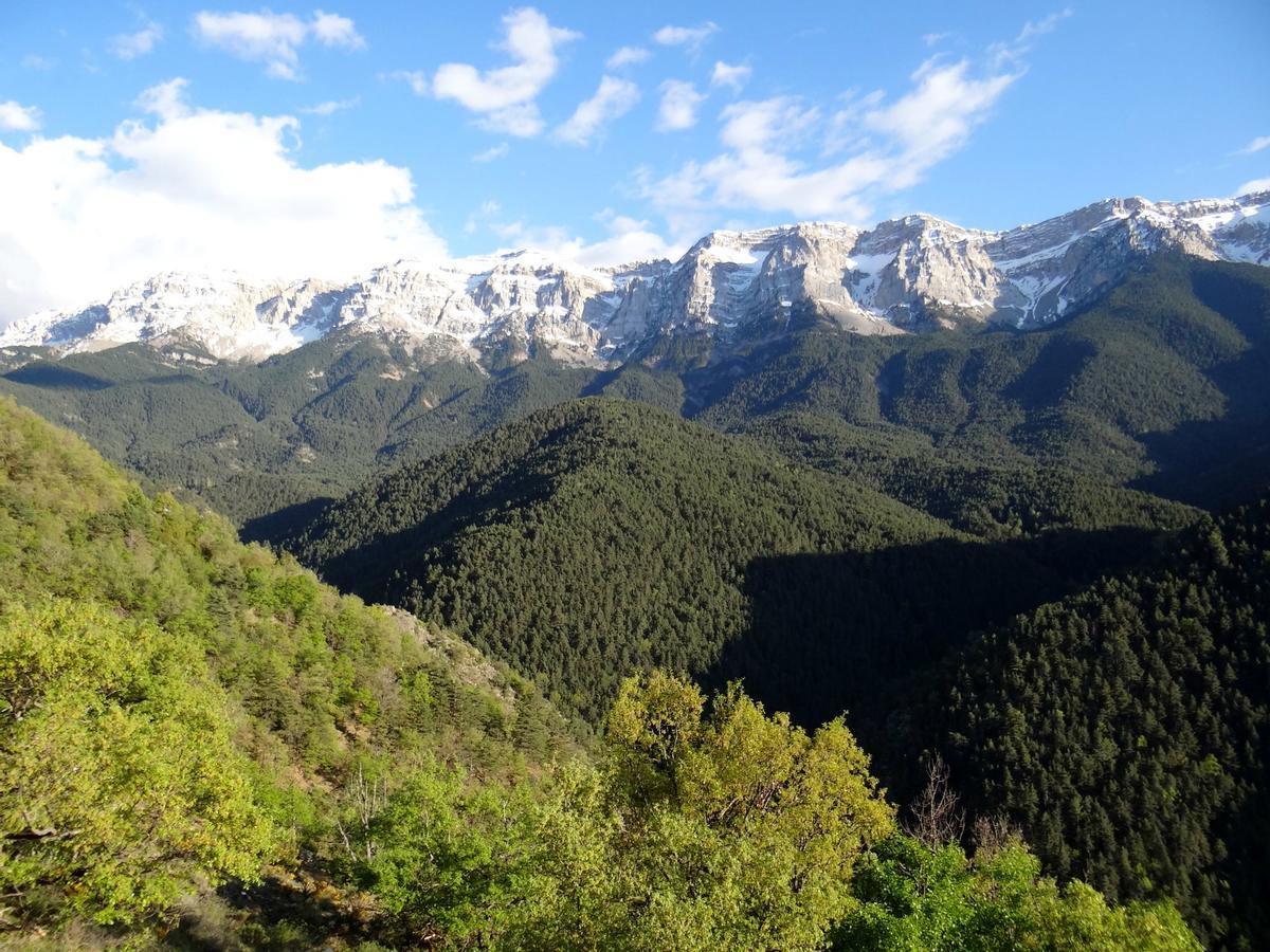 Parque Natural de Cadí-Moixeró