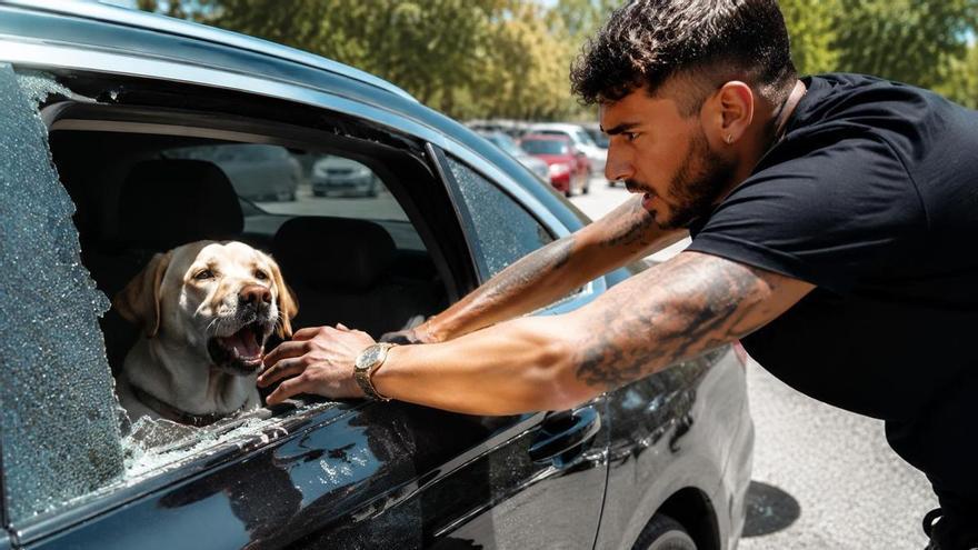 ¿Hizo bien Omar Montes al rescatar al perro encerrado en un coche? La Ley de Bienestar Animal lo deja claro