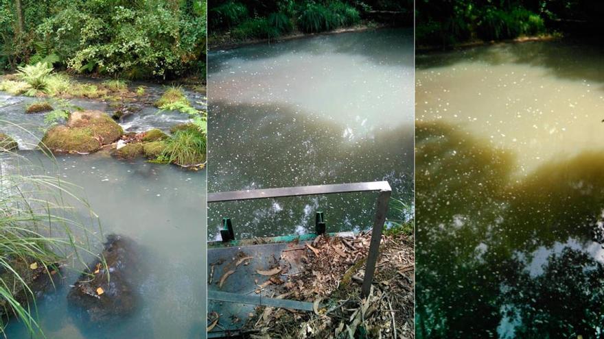 Las aguas del río Toxa, sucias por el vertido // FARO