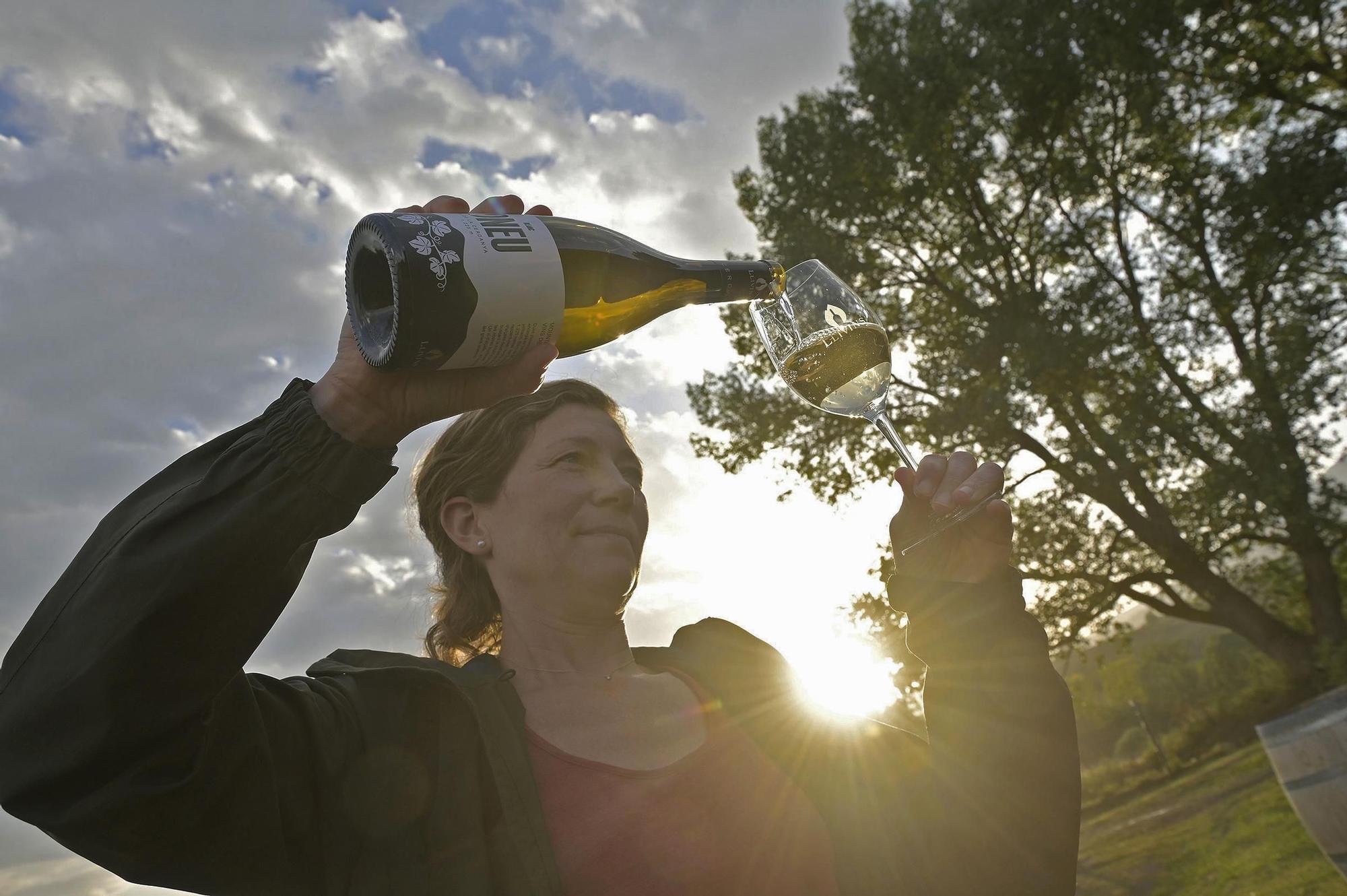 Anna Baqués, enóloga en Llívia.