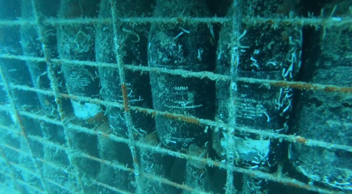 Las botellas del vino alicantino que madura bajo el mar.