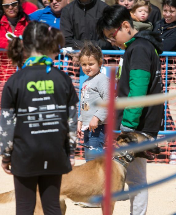 Can We Run: Gran carrera de perros para la concienciación animal