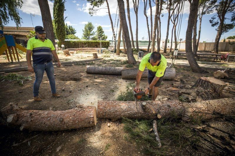 Efectos de la tormenta en Longares