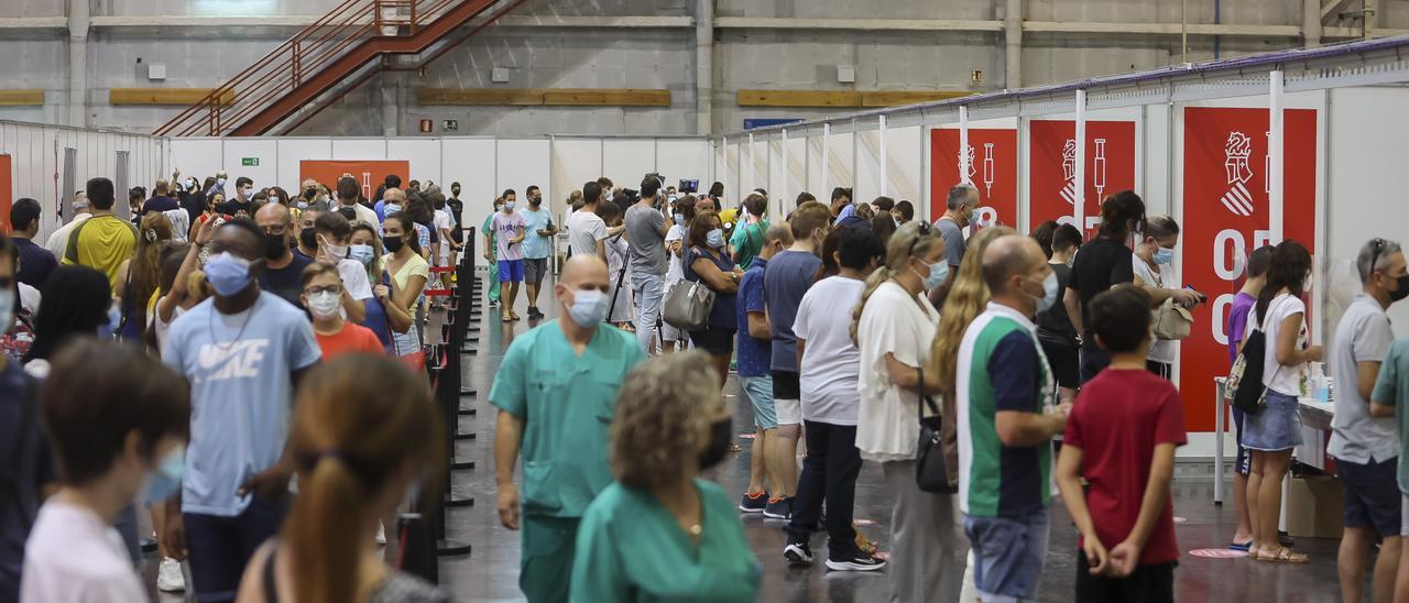 Vacunación contra el coronavirus en Ciudad de la Luz, en Alicante.