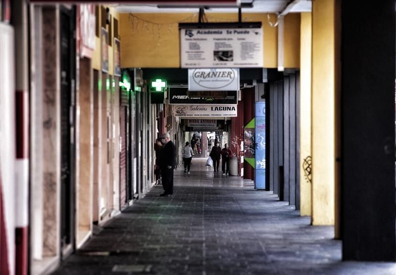 Paseo por La Laguna-Coronavirus | 06/04/2020  | 06/04/2020 | Fotógrafo: María Pisaca Gámez