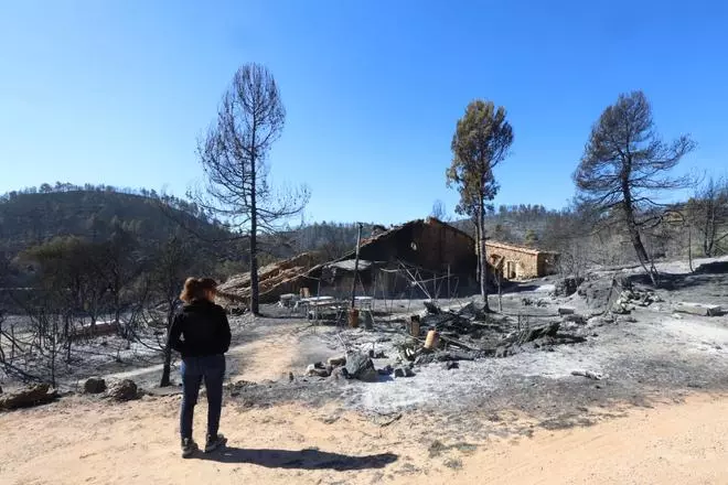 La imagen de la desolación: el fuego arrasa viviendas en la aldea de Los García