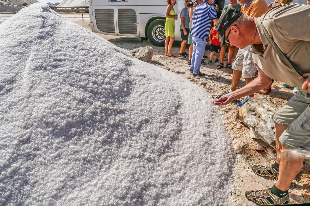 En torno a medio centenar de turistas estrenaron las visitas guiadas a las salinas de Torrevieja, que pretenden normalizarse el verano que viene