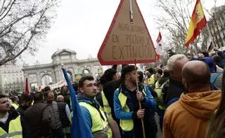 Manifestación de agricultores en Madrid, en imágenes