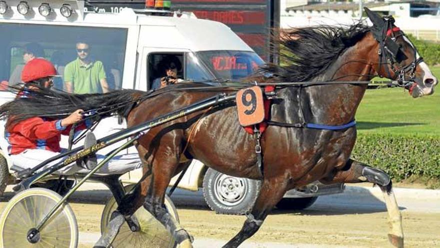 Spirit Beji en los metros finales de su carrera, dirigido por Maria Francisca Sureda.