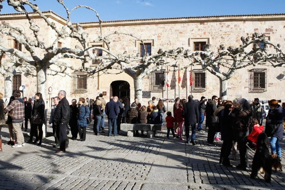 Iniciativa "Secado" en la plaza de Viriato