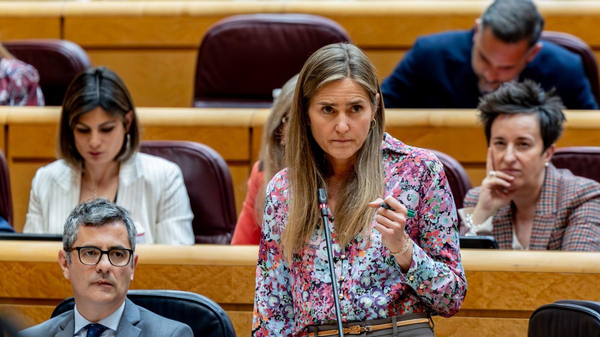 El Gobierno trasladó al Principado una denuncia sobre posible extracción ilegal de carbón en Cerredo