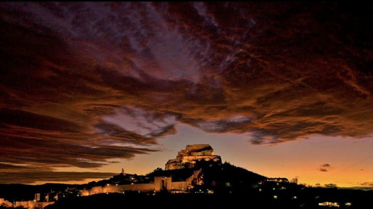 Morella