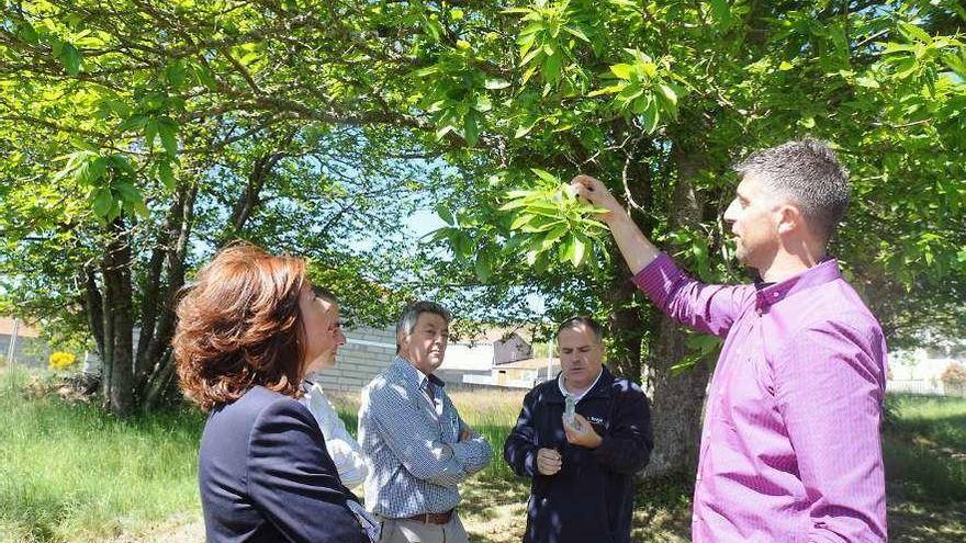 Díaz Mouteira y Yago Borrajo visitaron el Concello de Baltar. // FdV