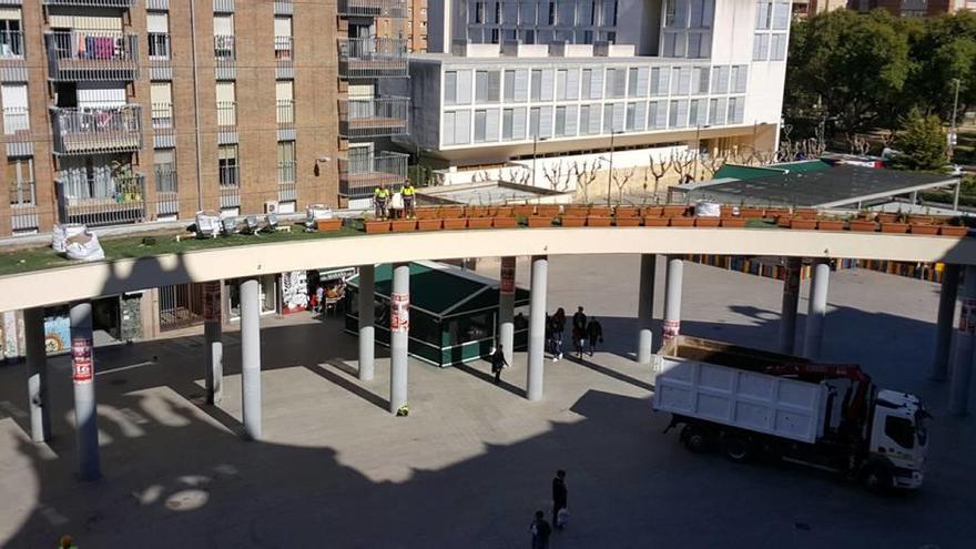 Personal del servicio encargado de la plantación de vegetación en la pérgola de la Plaza de la Universidad.