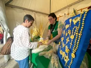 Domingo de Ramos Elche: El mercado de palmas blancas sube de precio por la merma en la producción